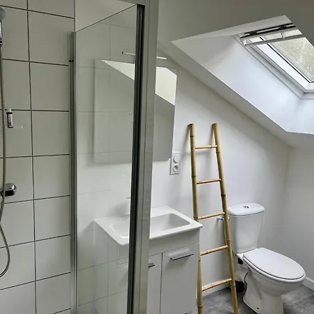 2 Suites, Cour Privee, Climatisation, Le Nid De Blois Vienne Exterior photo