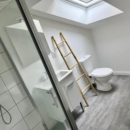 2 Suites, Cour Privee, Climatisation, Le Nid De Blois Vienne Exterior photo
