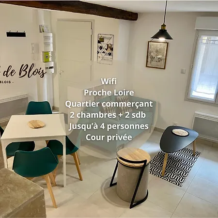 2 Suites, Cour Privee, Climatisation, Le Nid De Blois Vienne Exterior photo