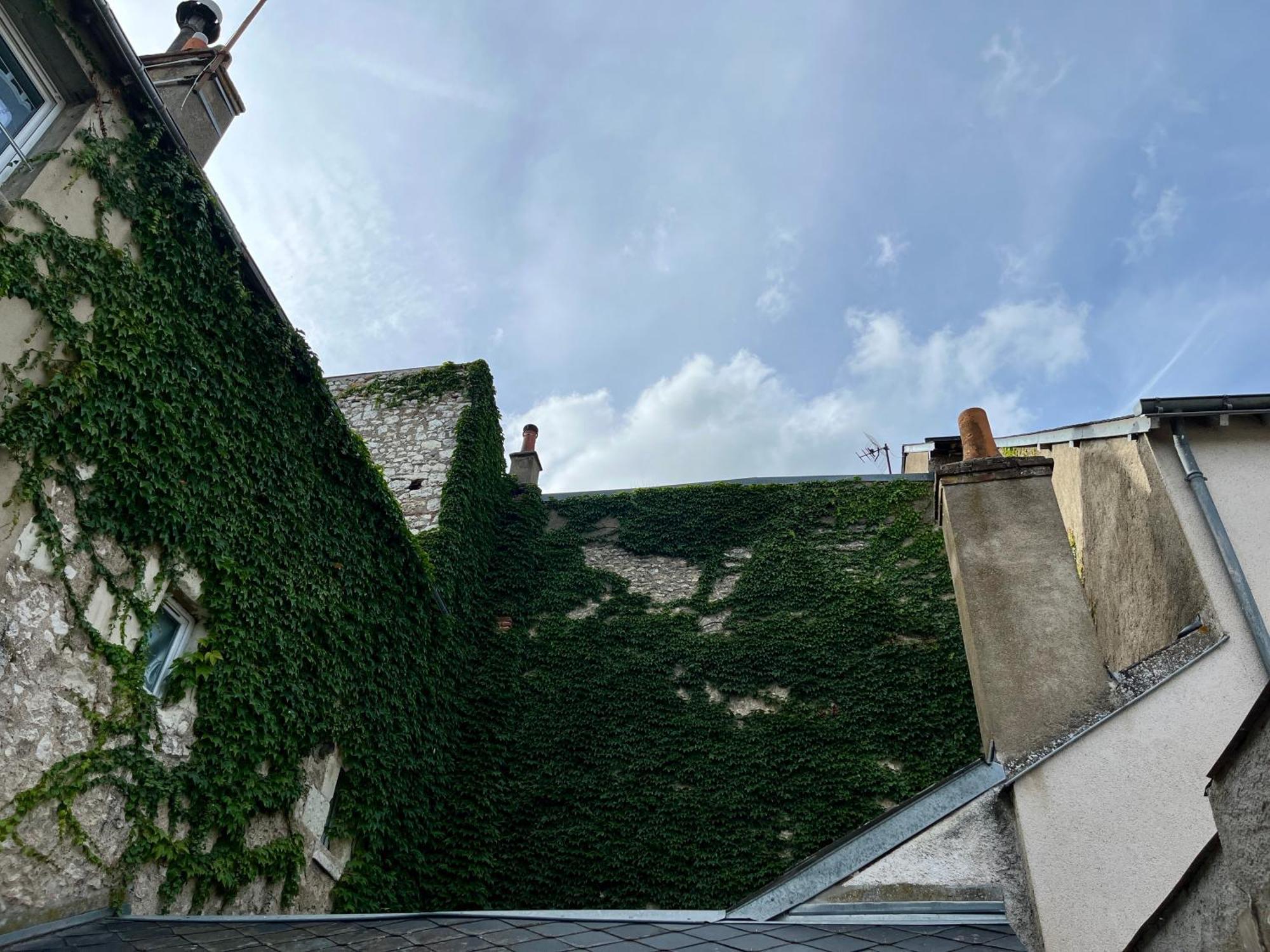 2 Suites, Cour Privee, Climatisation, Le Nid De Vienne Apartment